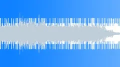 Rodeo Drive Strut (WP) 13 MT Bumper 2 ( tag, happy, upbeat, positive, ending ) Stock Music