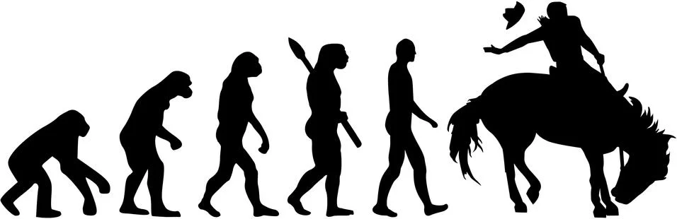 Rodeo evolution man on horse Illustrazione stock