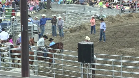 Rodeo lasso calf -good work from horse Stock Footage 40871477