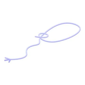 Rodeo lasso icon, isometric style Stock Illustration