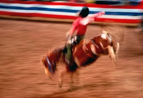 Rodeo Stock Photos
