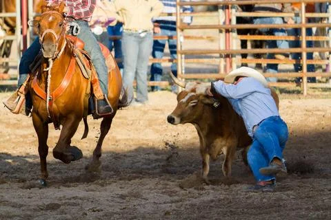 Rodeo Stock Photos