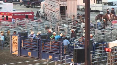 Rodeo rescue racing 2 slowmotion Stock Footage 40871145