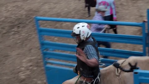 Rodeo show bull Stock Footage 143754419