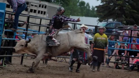 Rodeo show bull Stock Footage 143754450
