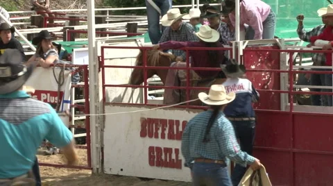 Rodeo slomo Stock Footage 6706234