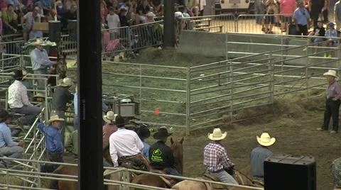 Rodeo steer wresting 1 slowmotion Stock Footage 40871139