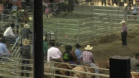 Rodeo steer wresting 2 slowmotion Stock Footage 40871134