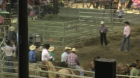 Rodeo steer wresting 3 slowmotion Stock Footage 40871119