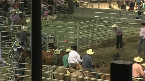 Rodeo steer wresting 4 slowmotion Stock Footage 40871124