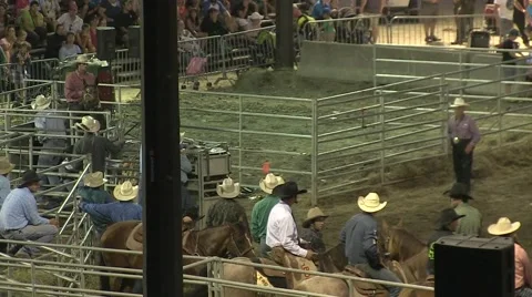 Rodeo steer wresting 5 slowmotion Stock Footage 40871115