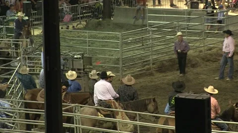 Rodeo steer wresting 6 slowmotion Stock Footage 40871113