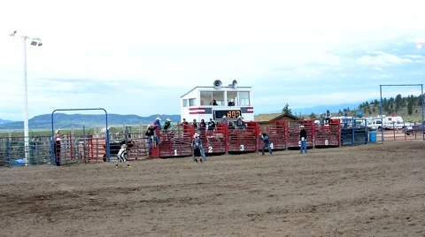 Rodeo in west USA Stock Footage 40549533