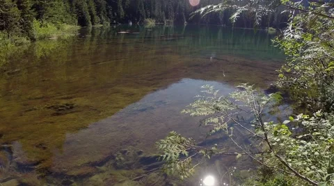 Rodgers Lake, part of Capilano Watershed. North Vancouver  BC Canada Video stock 41455341