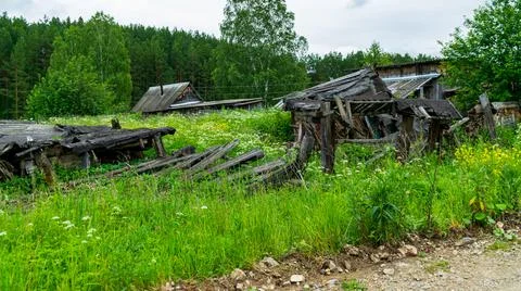 Родина 写真素材