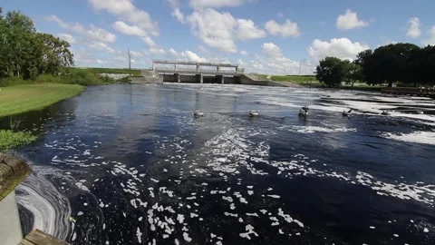Rodman Dam Stock Footage 138664424