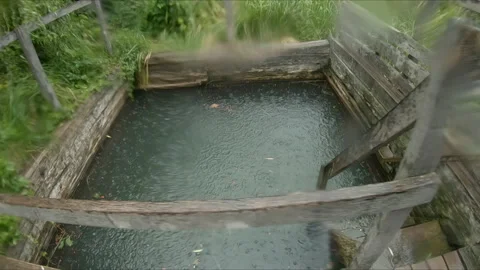 Rodnik21 스톡 동영상 166078924