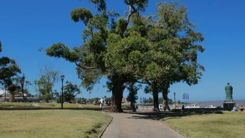 Rodo Park in Montevideo, Uruguay. Stock Footage 87721163