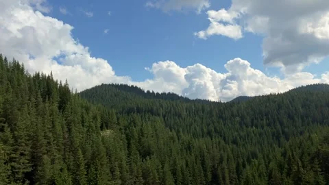 Rodopa mountain forest panorama Stock Footage 247931347