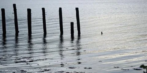 Rods in the lake Stock Photos