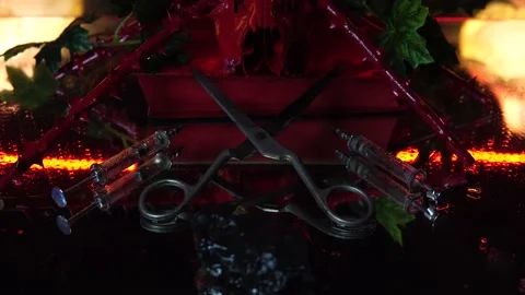 Roe deer skull, rose stalks, scissors, syringes, mirror, book Stock Footage 166570693