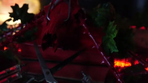 Roe deer skull, rose stalks, scissors, syringes, mirror, book Stock Footage 166571082