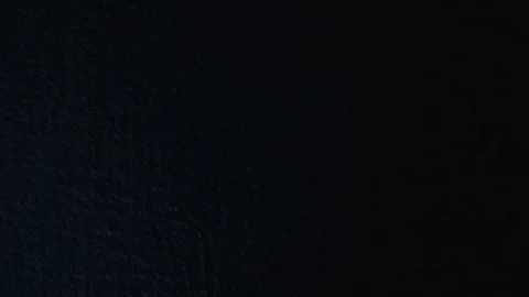 Roeiboot Kaag Video stock 86780060