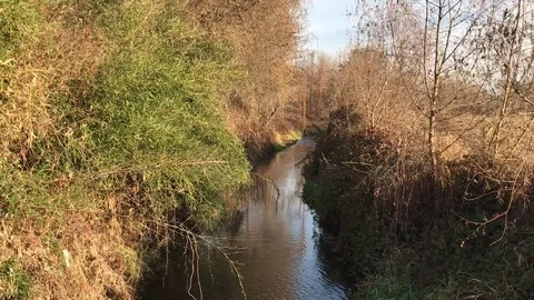 Roggia 動画素材 82831503