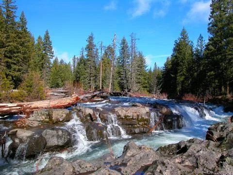 Rogue River Gorge 2 Stock Photos