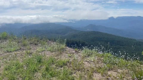 Rogue Umpqua Divide Wilderness: backpack sits on to of cliff Stock Footage 329453490