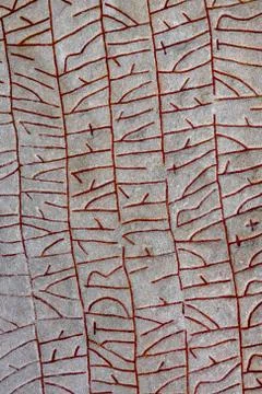 Rok Runestone Stock Photos