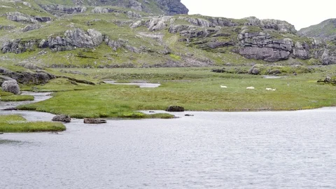 The Roldal Mountain Area Stock Footage 88990199