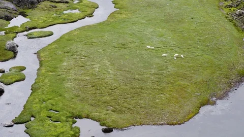 The Roldal Mountain Area Vídeos de archivo 88990291