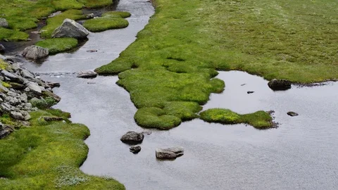 The Roldal Mountain Area 스톡 동영상 88995498