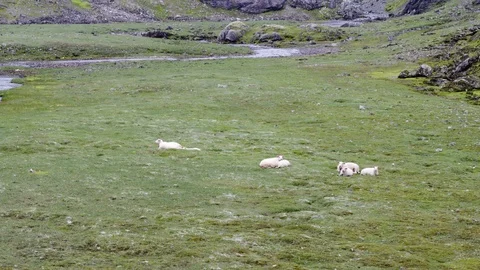 The Roldal Mountain Area Stock Footage 88995609