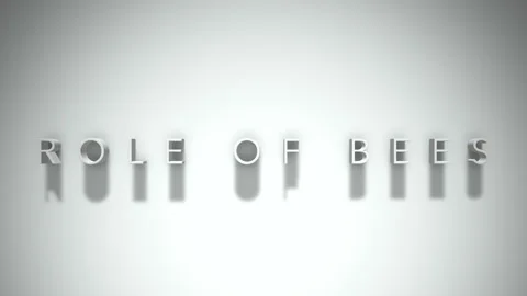 Role of bees 3D title animation with shadows on a white background Video stock 297904133