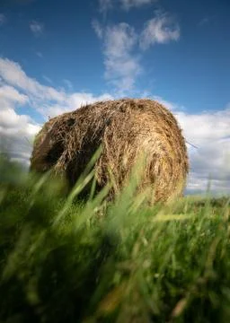 Roll bale in field Stock Photos