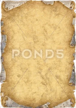 A roll of birch bark PSD Template
