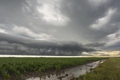 Roll cloud, a round tube formation hovering just above ground on the horizo.. 스톡 사진