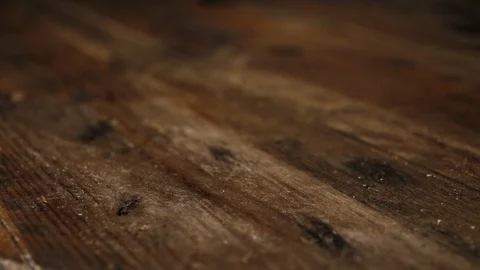 Roll the dice Video stock 87681511