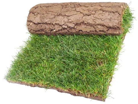 Roll of grass rug Stock Photos