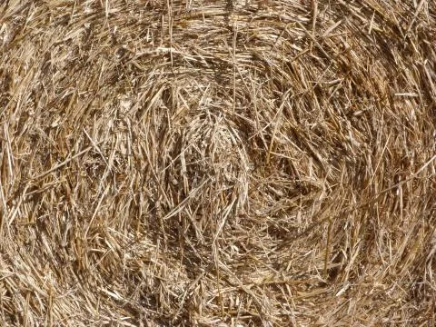 Roll of Hay Stock Photos