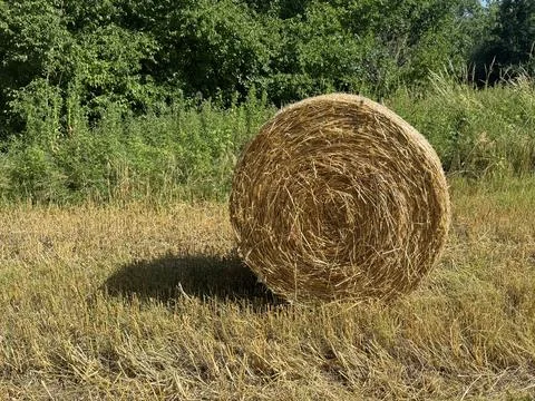 Roll of hay Stock Photos