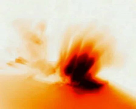 Roll joint Stock-Footage 636063