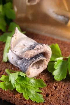 Roll of the marinated sprat Stock Photos