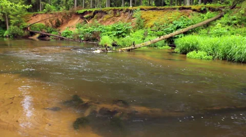 Roll on the river Stock Footage 38926980