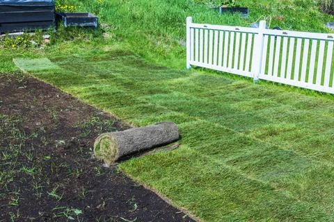 Roll of sod lying on partially installed lawn near white fence during spring Stock Photos