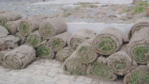 Roll of sod ready for installation at a construction site Video stock 196925412