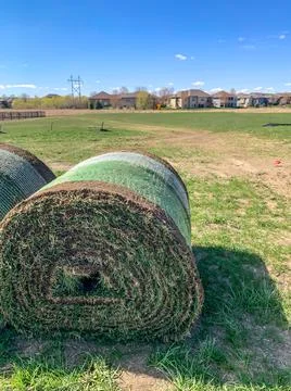 Roll of sod ready for installation at a construction site Foto stock