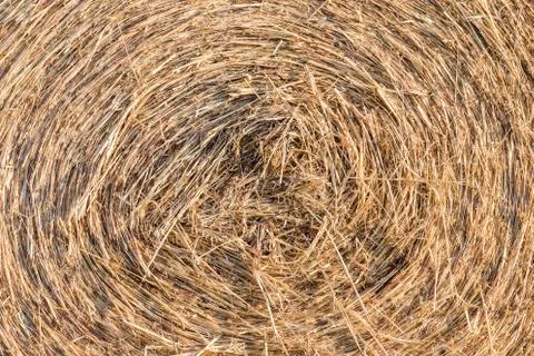 Roll straw texture and background Stock Photos